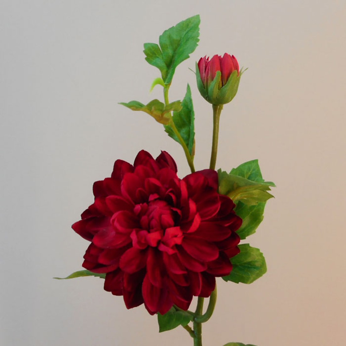 Rydal Artificial Dahlias Red 67cm Artificial Flowers